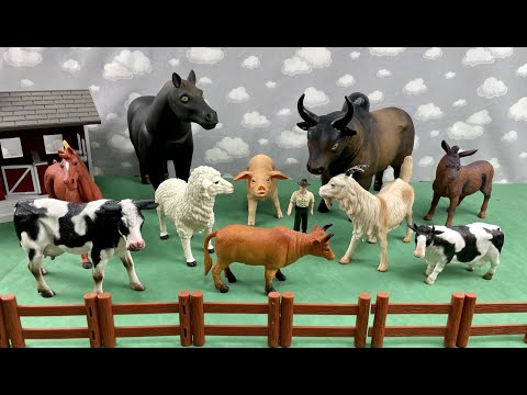 FARM ANIMALS BEING TRANSPORTED TO PASTURE / ANIMAIS DA FAZENDA SENDO TRANSPORTADOS PARA O PASTO