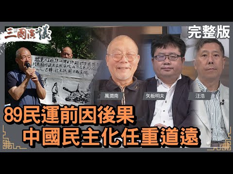 89民運前因後果｜中國民主化任重道遠｜#萬潤南 #矢板明夫 #汪浩｜@華視三國演議｜20230604