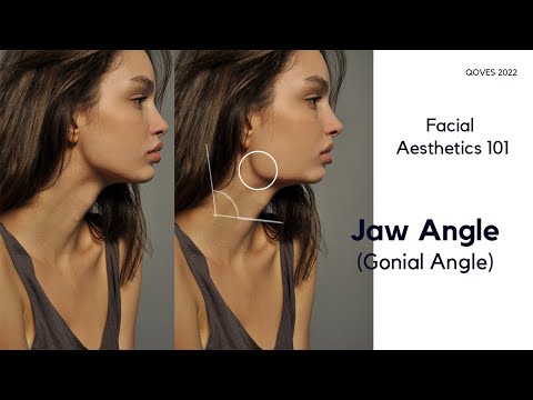 Why The Angle Of The JAW Influences Your Look