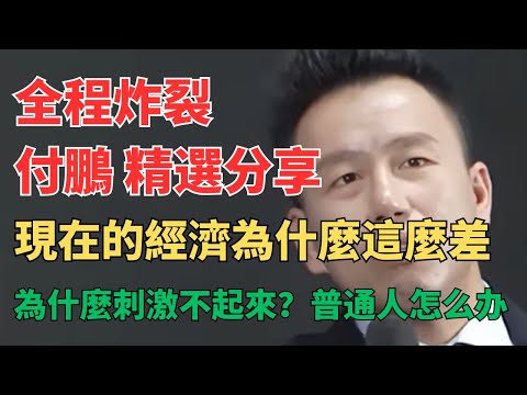听付总讲财经 - 付鹏警告：现在的经济为什么差？刺激为什么失效？企业卷到绝境，打工人从“消费降级”到“停止消费”，老百姓真没钱了！普通人怎么办？