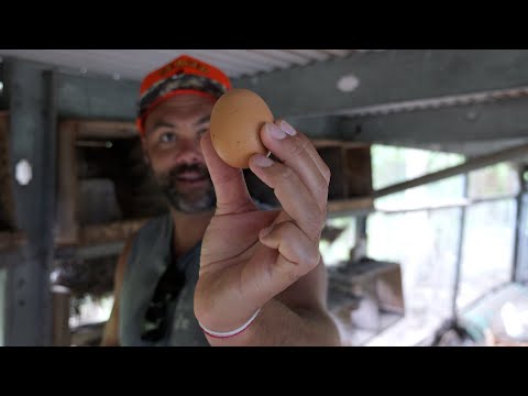 Farm to Plate: JJ Makes Loco Moco