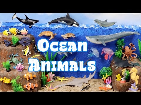 Meet the Amazing Ocean Animals | Let's Build an Underwater Diorama!