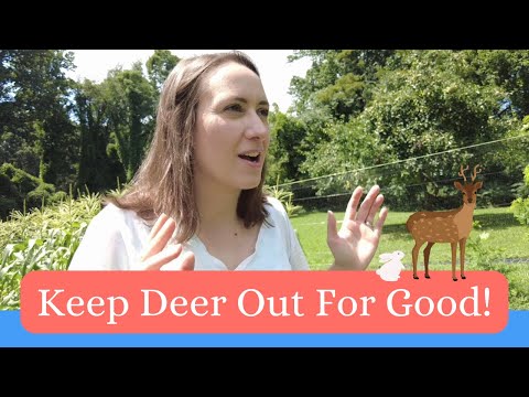 A Simple Deer PROOF Garden!