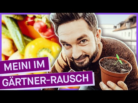 Balkongarten: So baust du dein eigenes Gemüse auf dem Balkon an