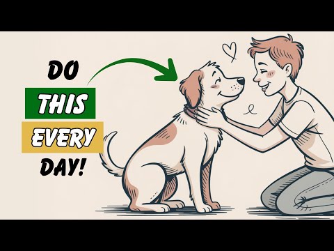9 Things You RARELY Do for Your Dog (But Should Every Day)