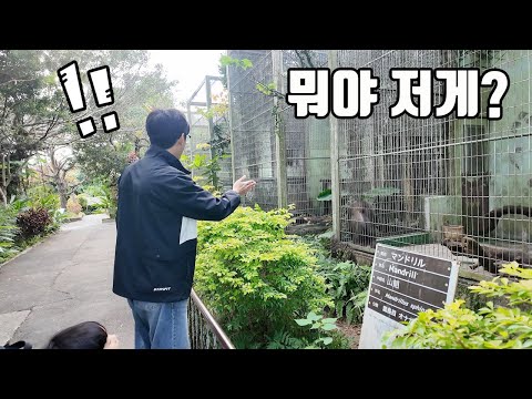 A zoo like this on an island?? This is the first time I've actually seen this animal, it's really...