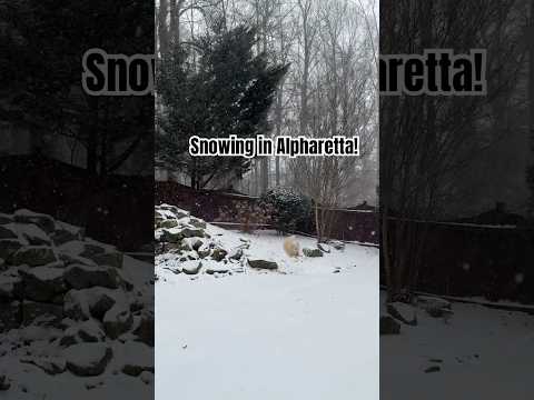 Maybe 3 inches of snow in Alpharetta, Georgia today? #metroatlanta