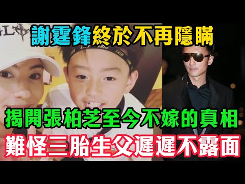 謝霆鋒終於不再隱瞞！揭開張柏芝至今不嫁的真相，難怪三胎生父遲遲不露面！#張柏芝#謝霆鋒