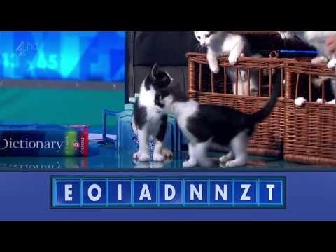 8 Out Of 10 Cats does Countdown: 4