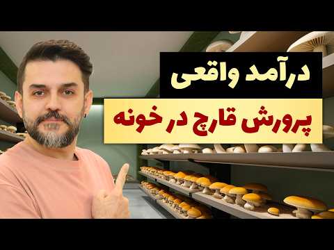 سود پرورش قارچ در خانه با کمترین هزینه | درآمد واقعی چقدره؟