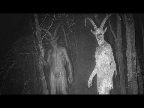 Top 10 Cryptids Caught Clearly on Camera in 2025