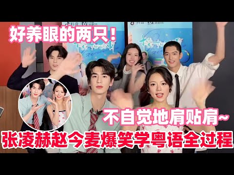 赵今麦把张凌赫逗到直不起腰🤣剧宣直播互动太甜！今麦脱口而出CP名吓懵凌赫！#张凌赫 #赵今麦 #樱桃琥珀 #cdrama