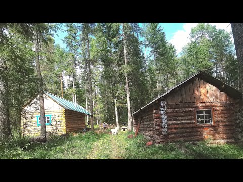 Подготовка к промыслу. Закончили строительство Зимовья.