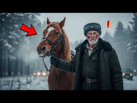 Они украли его коня… не зная, что старик — бывший спецназ ГРУ