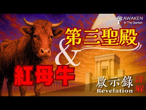 第三聖殿的建成只差最後一步！重建聖殿為何需要紅母牛？｜The Third Temple and the Red Heifer｜啟示錄解經