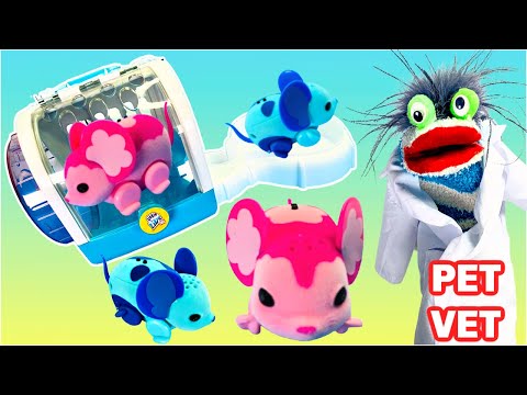 Fizzy the Pet Vet Helps Mice Exercise | Fun Videos For Kids