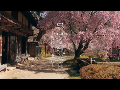 【中山道の桜】馬籠から妻籠への道のり :【Samurai Trail】Walking the Nakasendo from Magome to Tsumago（Gifu-Nagano, Japan）