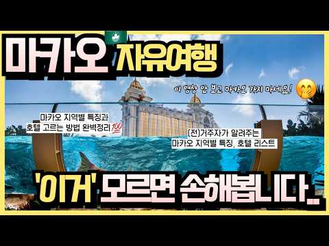 마카오 (전) 거주자가 알려주는 호텔 고르는법, 호텔 리스트 완벽 정리 💯｜아이들과 여름에 가도 좋은 마카오 여행, 여행준비, 마카오여행준비, 마카오