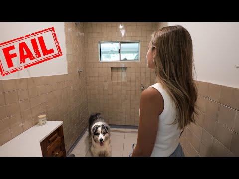 I Tried To Finish The Bathroom In One Week To Surprise Her