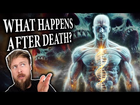 Leaked Doc Exposes The TRUTH About Souls And Gods. | Warhammer 40K Lore