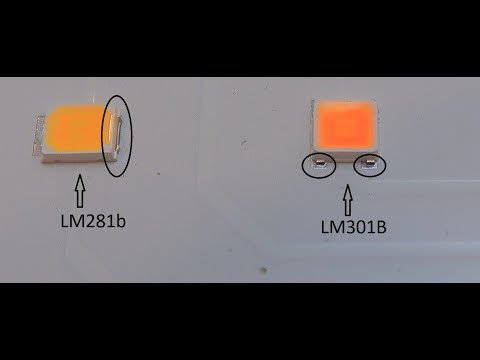 Quantum Board. В чем отличия и откуда такой разброс цен