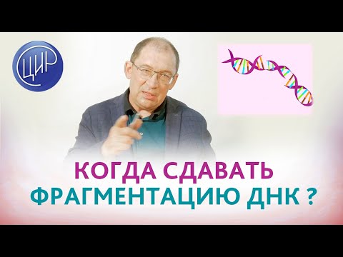 Фрагментация ДНК сперматозоидов. Когда нужно сдавать анлиз на фрагментацию ДНК сперматозоидов?