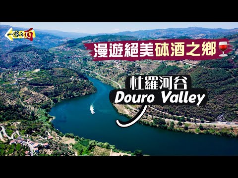 【一路向西🇵🇹】漫遊絕美砵酒之鄉：杜羅河谷｜葡萄牙國寶 卻因戰爭而被英國發揚光大🍷｜紅酒加白蘭地 無心插柳成就獨特風味😋用腳踩葡萄 先係最理想做法？🍇｜Douro Valley, Porto