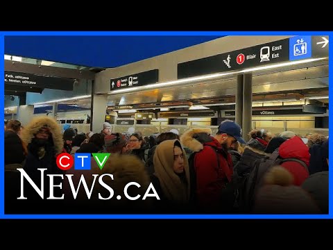 Ottawa LRT chaos: Passengers walk on tracks after train stalls