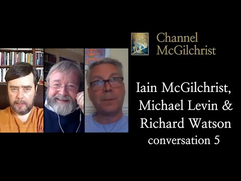Iain McGilchrist, Michael Levin and Richard Watson conversation 5
