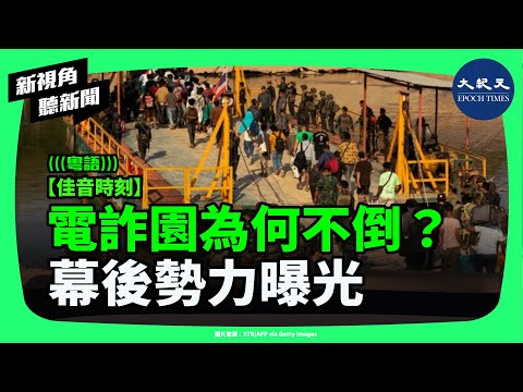 東南亞電詐園區越抓越多？兩名園區創辦人接連被拘捕後，「幕後力量」突然被推上檯面。美國、泰國、中國多方動作頻頻，事件越來越不單純！| #新視角聽新聞 #香港大紀元新唐人聯合新聞頻道