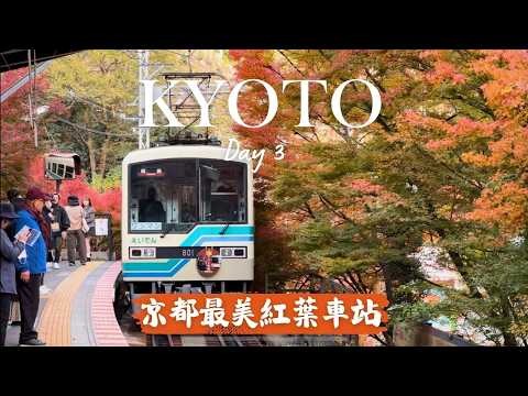 日本楓葉EP3｜叡山電車此生必搭 朝聖紅葉隧道  京都最美楓葉車站 實際走訪京都人評選第一賞楓勝地 永觀堂真的太震撼了 御金神社居然都沒人