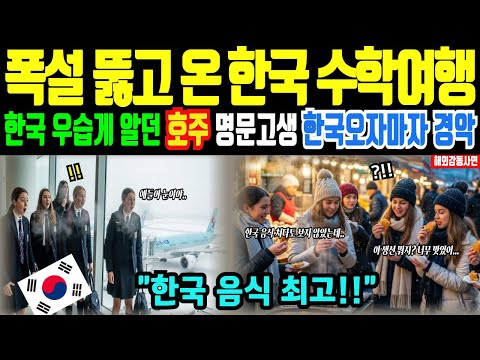 [해외감동사연] 한국으로 수학여행 온 호주 상류층 명문 여고생들, 한국을 우습게 보던 학생들이 한국 오자마자 하루만에 꿈을 이루고 발칵 뒤집힌 이유