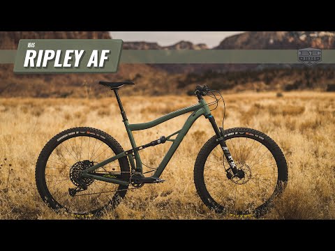 Ibis Ripley AF Review: The Little Engine That Could