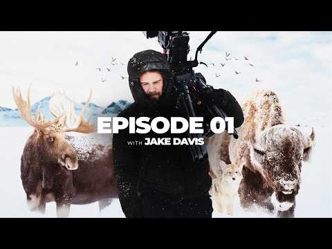 Frozen Yellowstone | A Wildlife Film by BBC Cameraman Jake Davis