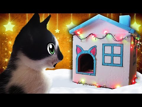 GIFT FOR NEW YEAR 2018 FOR CATS! CAT KID AND CAT Murko MOVED TO A HUGE HOUSE! life hacking DAY