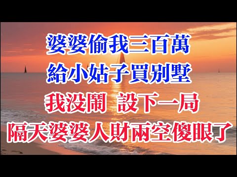 婆婆偷我三百萬 給小姑子買別墅 我沒鬧 設下一局 隔天婆婆人財兩空傻眼了