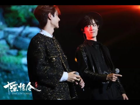 【肖战王一博】陈情令《无羁》现场版 混剪