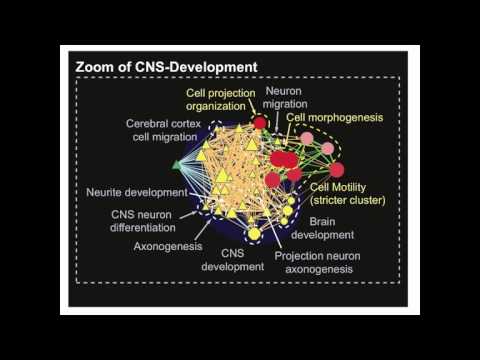 Introduction to Pathway and Network Analysis of Gene Lists