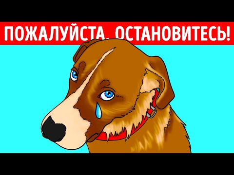 Я провел месяцы на улице, пока не случилось чудо!