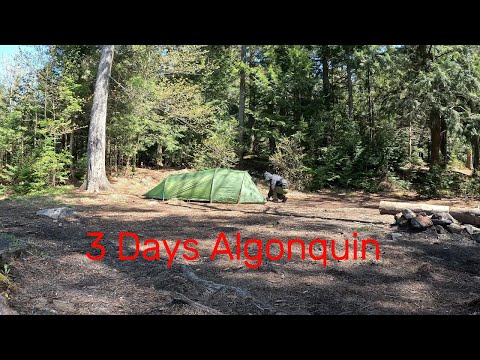 3 Day Solo Algonquin Backcountry Camping!