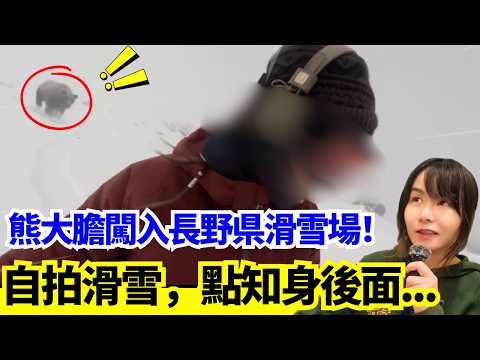 【日本熊患注意🚨】驚！遊客自拍滑雪、事後先知道一直被熊追！熊大膽闖入長野縣滑雪場！熊走入居民家中冬眠？日本新聞報導 #熊出沒 #廣東話 #日本新聞 #突發 #廣東話 #粵語 #日本 #柴犬