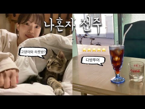 Solo Jeonju Trip🍁Recommended restaurants, teahouse tours, and cat-themed hanok accommodations by ...