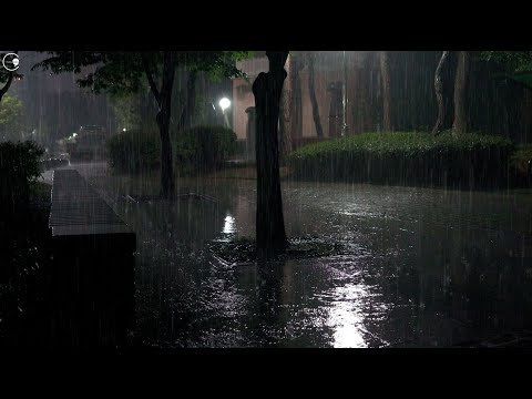 Relieves insomnia with heavy rain pouring on the roadside on a rainy night, sleep sound ASMR