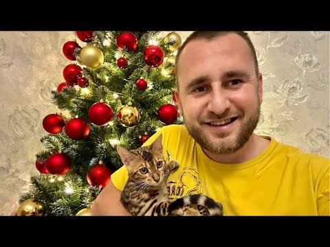 СУДАК - НАРЯЖАЕМ ЕЛКУ 2026