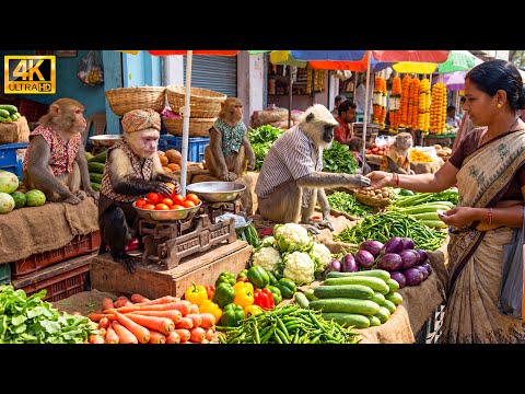 बंदरों ने बाज़ार में लगाया सब्ज़ी का ठेला बेची सब्ज़ी |Monkeys Selling Vegetables