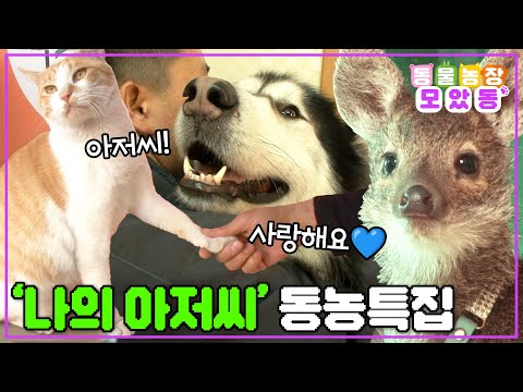 [#모았동물농장] 아저씨 쪼아😍 귀여운 친구들만 보면 사르르 녹아버리는 아저씨들과 동물들의 특별한 케미 모음🫠 나만 바라봐~😏 #TV동물농장 #AnimalFarm #SBSstory