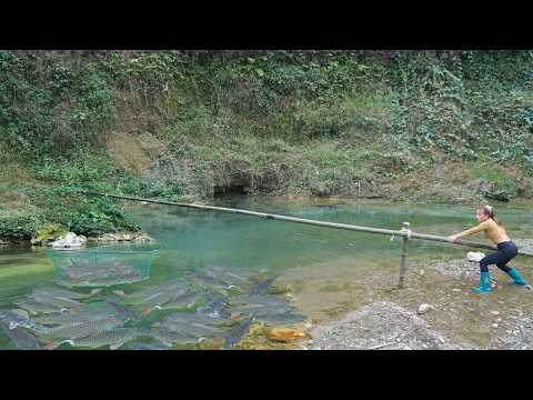 How To Fishing With Trawl Nets, Harvesting A Lot Of Big Fish, #fish #fishing