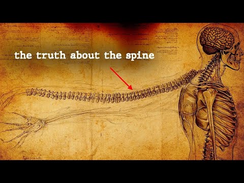 REVEALED: Hidden technique to Energy Control (it’s in your spine)