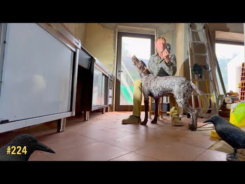 First Kitchen This Od House has Had | #224