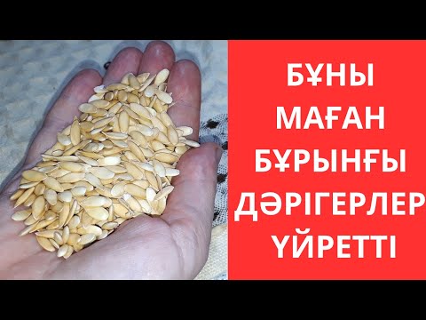 МЕН БІР СТАҚАН СҰЛЫ ІШТІМ...1 күнде бауырым 20 жастағыдай тазарды! Сүйектер ауырмайды, сахар нормада